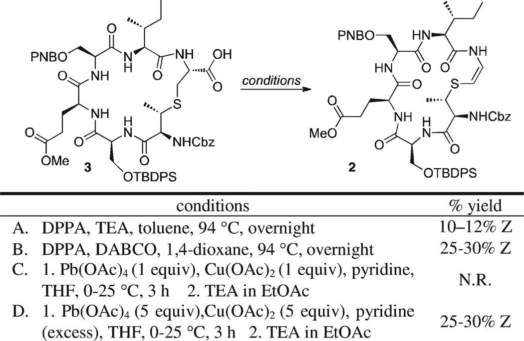 Scheme 6