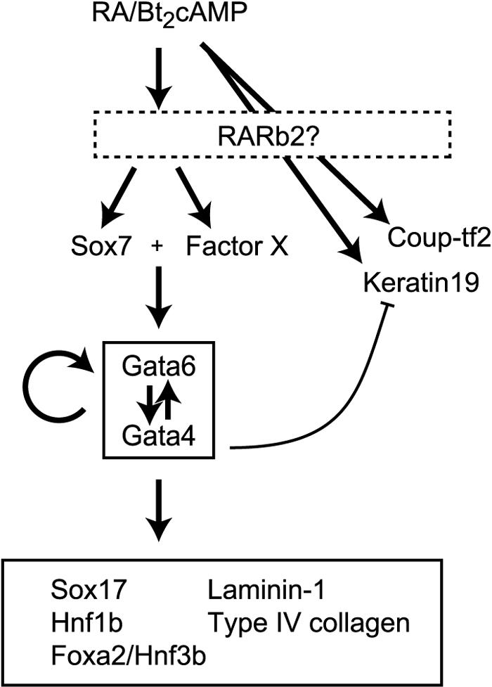 FIG. 8.