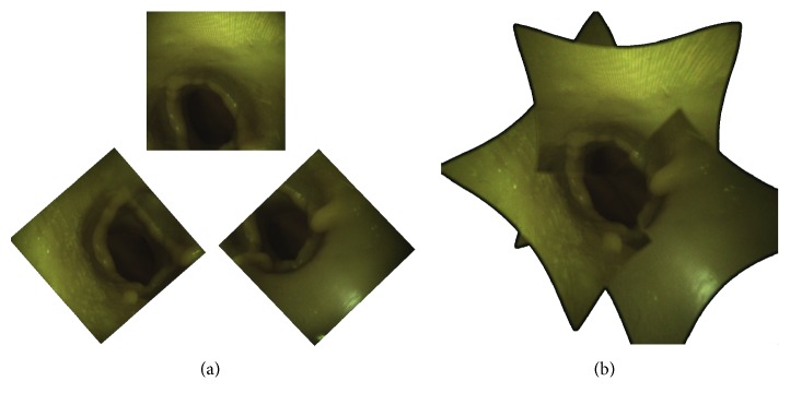 Figure 10