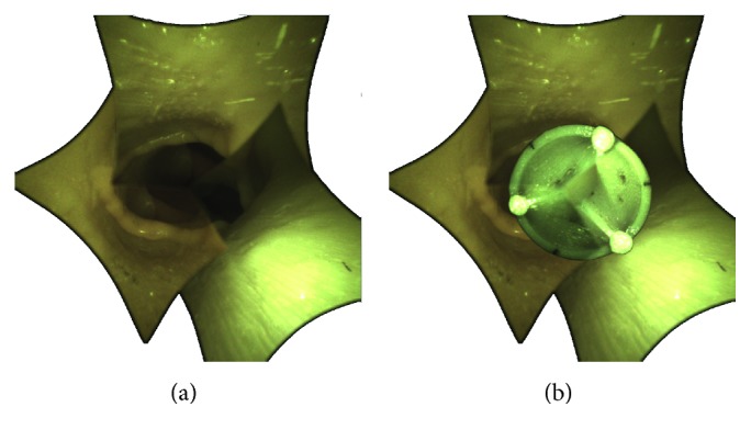 Figure 7