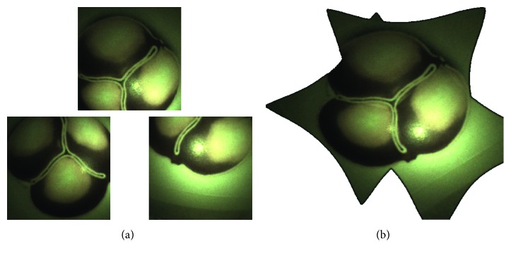 Figure 6