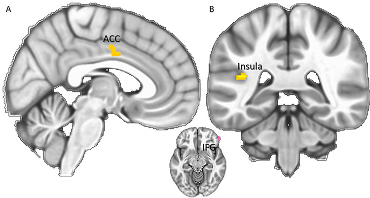 Fig. 5