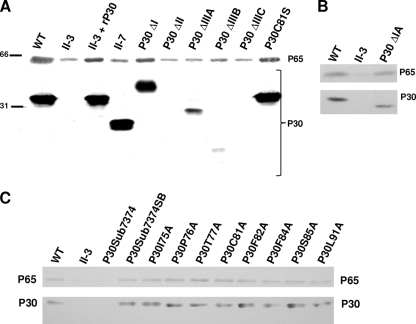 FIG. 3.