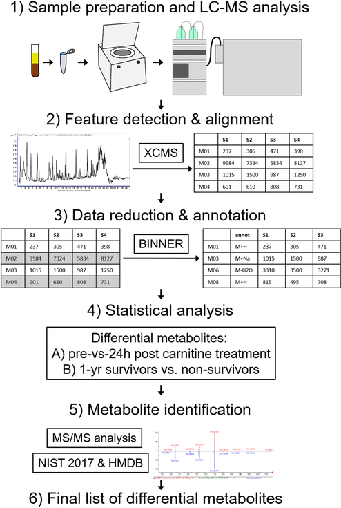 Figure 1: