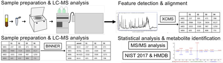 graphic file with name nihms-1021074-f0001.jpg