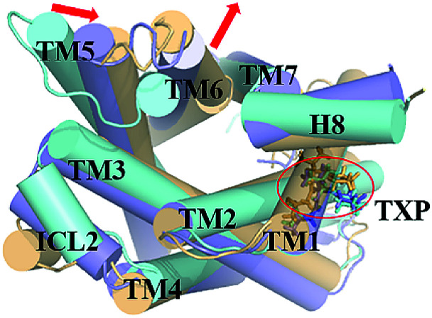 Fig. 6