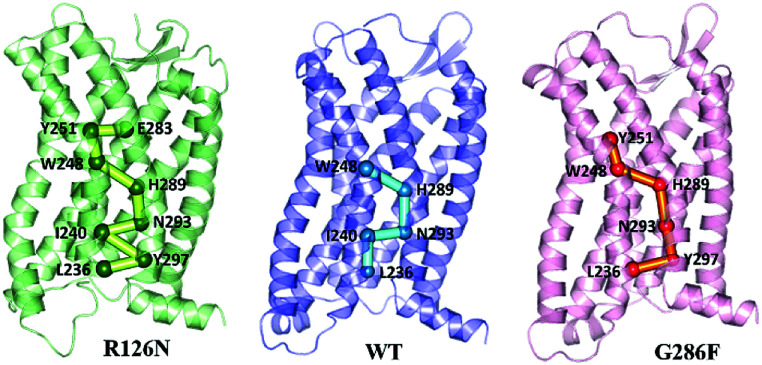 Fig. 14