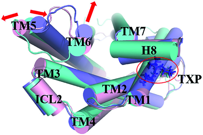 Fig. 2