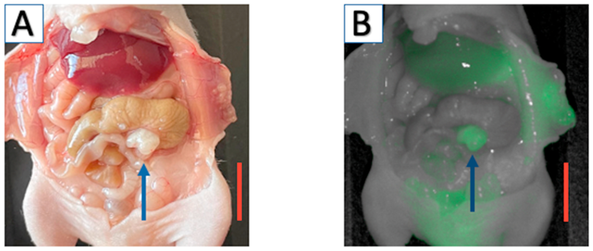 Fig. 3.