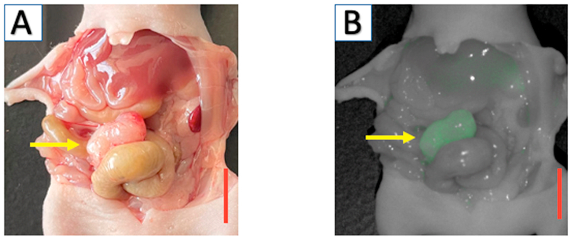 Fig. 2.