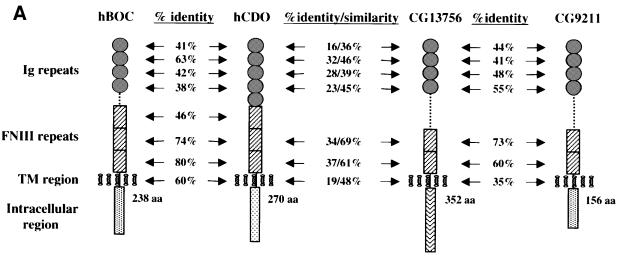 graphic file with name cdf003f1a.jpg