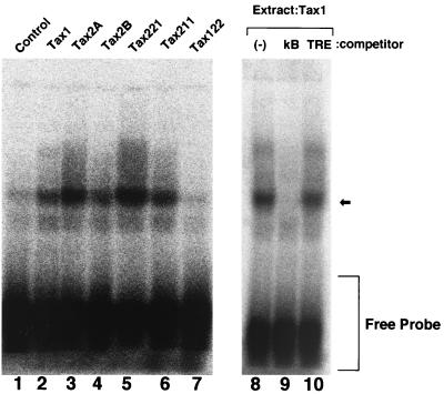 FIG. 5.