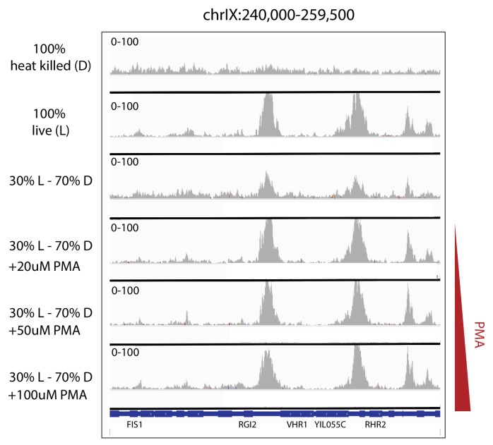 Figure 4—figure supplement 2.