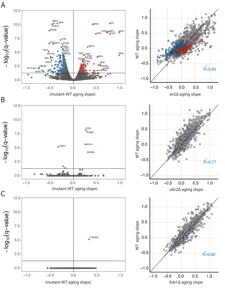 Figure 3—figure supplement 4.