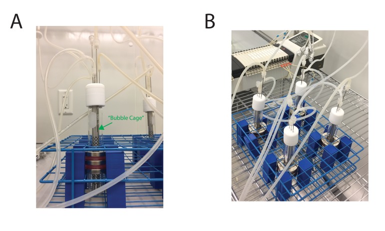 Figure 1—figure supplement 1.