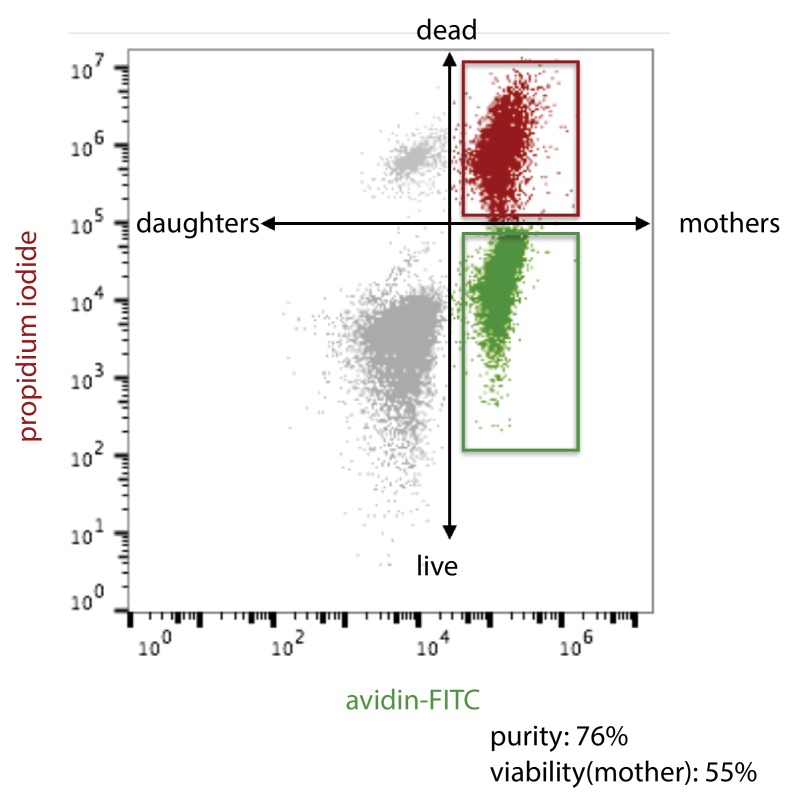 Figure 3—figure supplement 2.