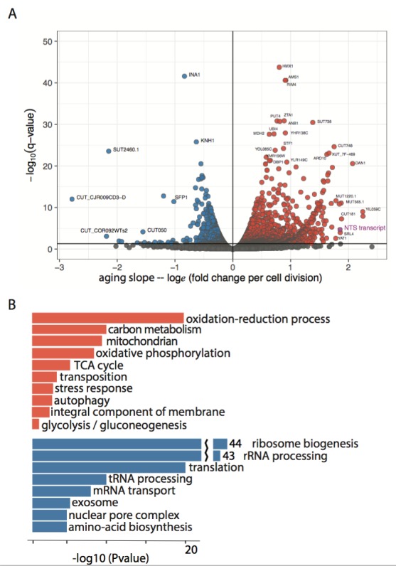 Figure 2—figure supplement 1.