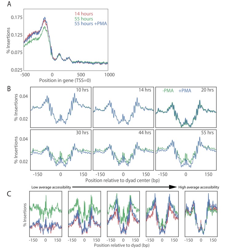 Figure 4—figure supplement 1.