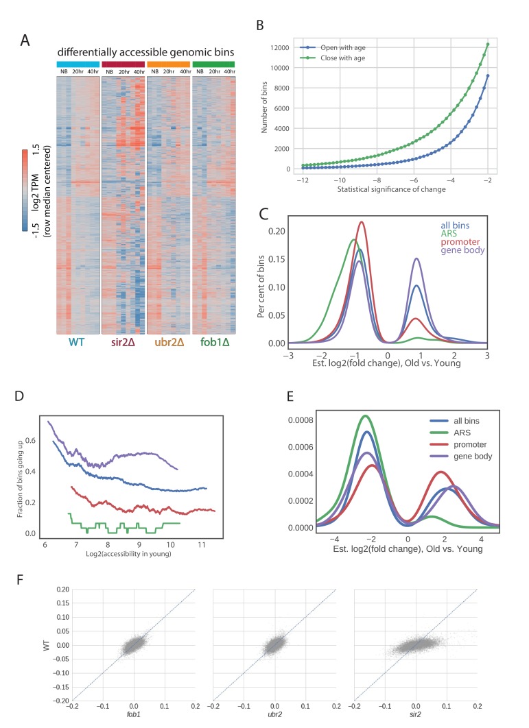 Figure 4—figure supplement 4.