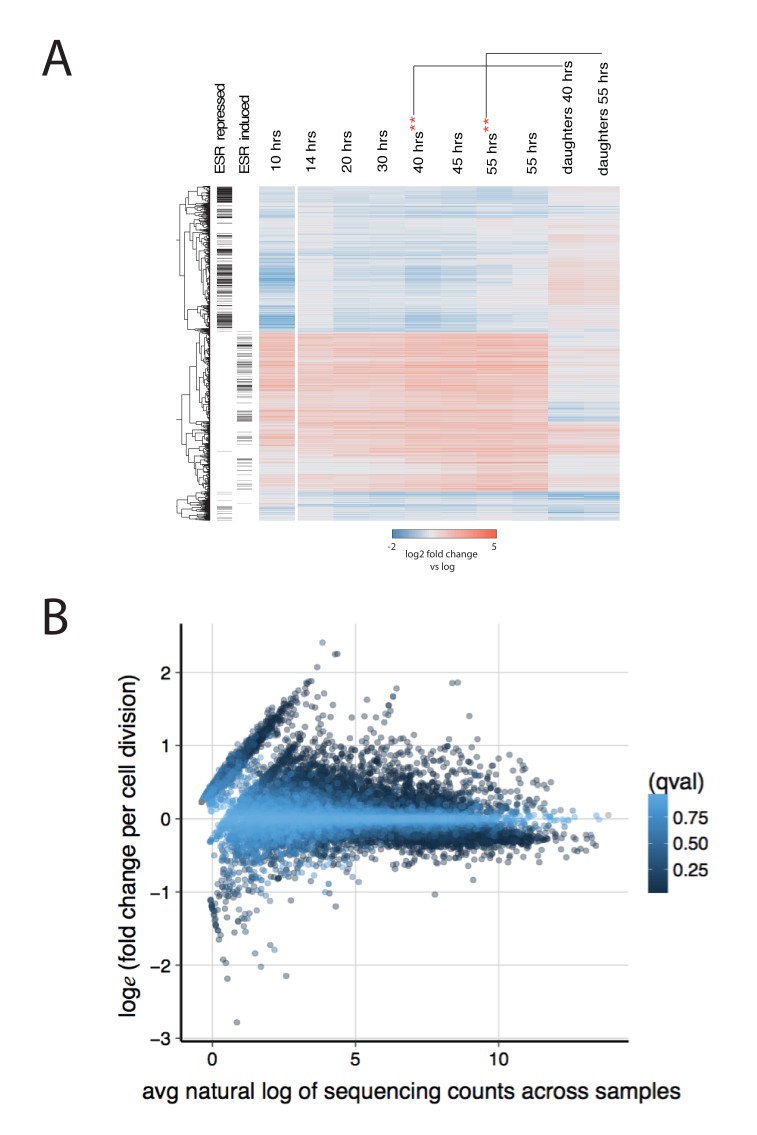 Figure 2—figure supplement 2.