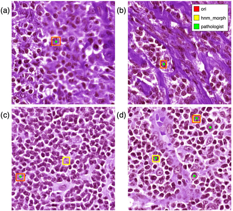 Fig. 8.