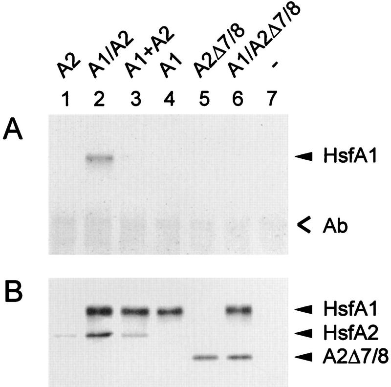 FIG. 8