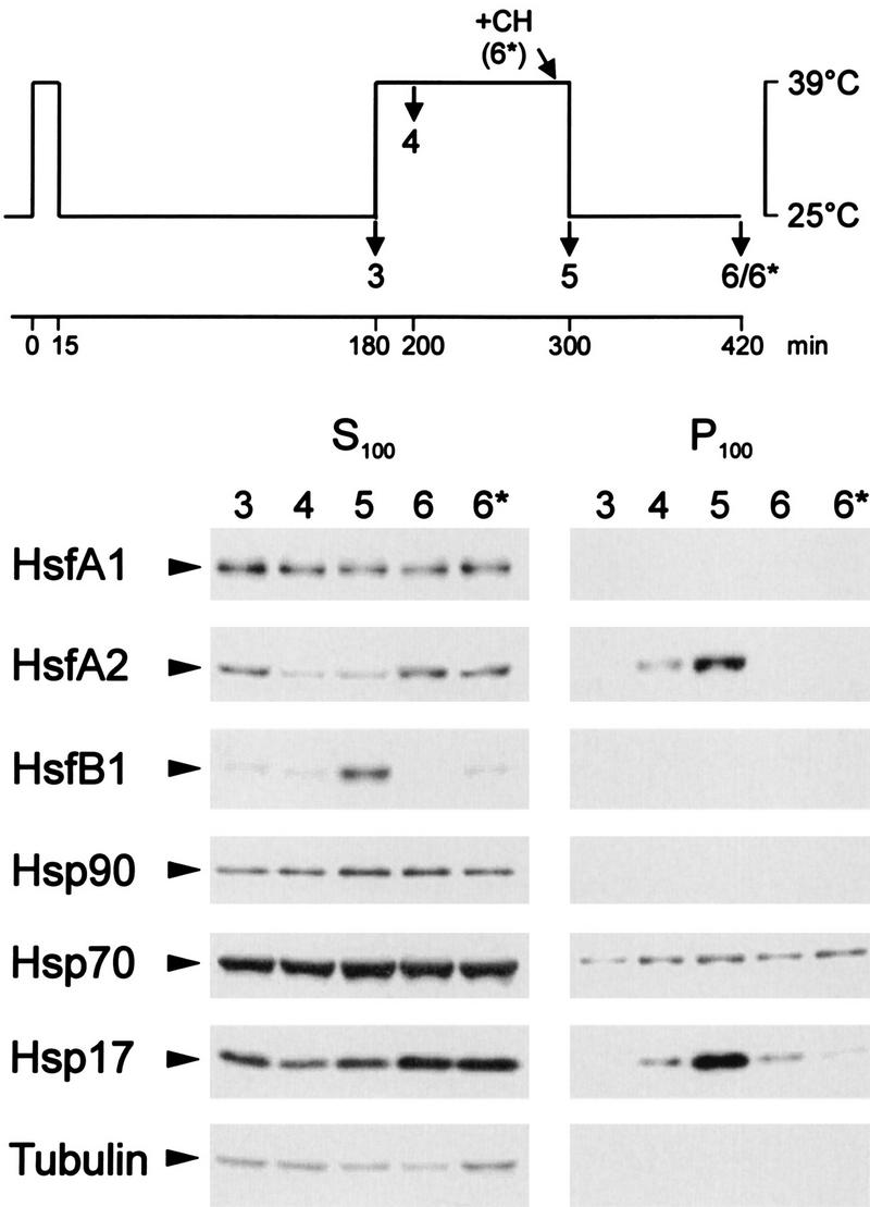 FIG. 6