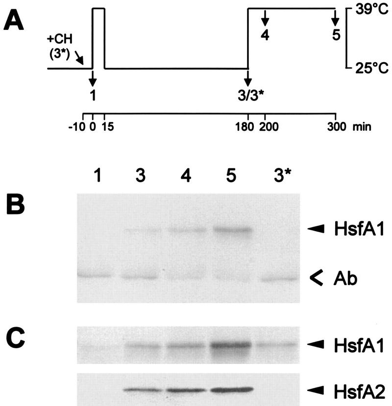 FIG. 7