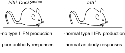 Fig. P1.