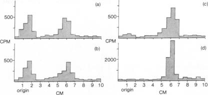 graphic file with name pnas00067-0215-a.jpg