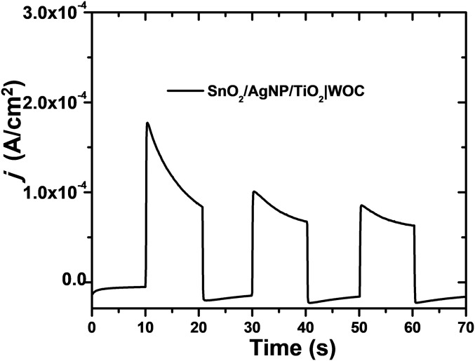 Fig. S5.