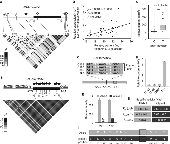 Differentially evolved glucosyltransferases determine natural variation ...