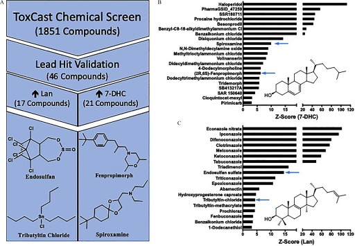 Figure 2A is comprises a workflow with the following steps taking place one after the other: ToxCast chemical screen (1851 compounds) leads to lead hit validation (46 compounds), which leads to Lan (17 compounds) and 7DHC (21 compounds). Lan leads to endosulafan and tributyltin chloride, and 7DHC leads to frenpropimorph and spiroxamine. Figures 2B and 2C are horizontal bar graphs, plotting 7 dehydrocholesterol and lanosterol (y-axis), respectively, across z score. Those prioritized in elevating 7DHC are spiroxamine and fenpropimorph. Those prioritized in elevating lan are endosulfan sulfate and tributyltin chloride.