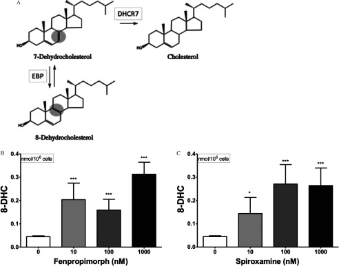 Figure 10A comprises synthesis of chemical compounds, where 7dehydrocholesterol leads to cholesterol through DHCR7 and also to 8dehydrocholesterol through EBP. 8dehydrocholesterol also leads to 7dehydrocholesterol through EBP. Figures 10B and 10C plot 8DHC nanomoles virgule 10 super 6 cells (y-axis) across fenpropimorph (nanomolar) and spiroxamine (nanomolar), respectively, (x-axis).