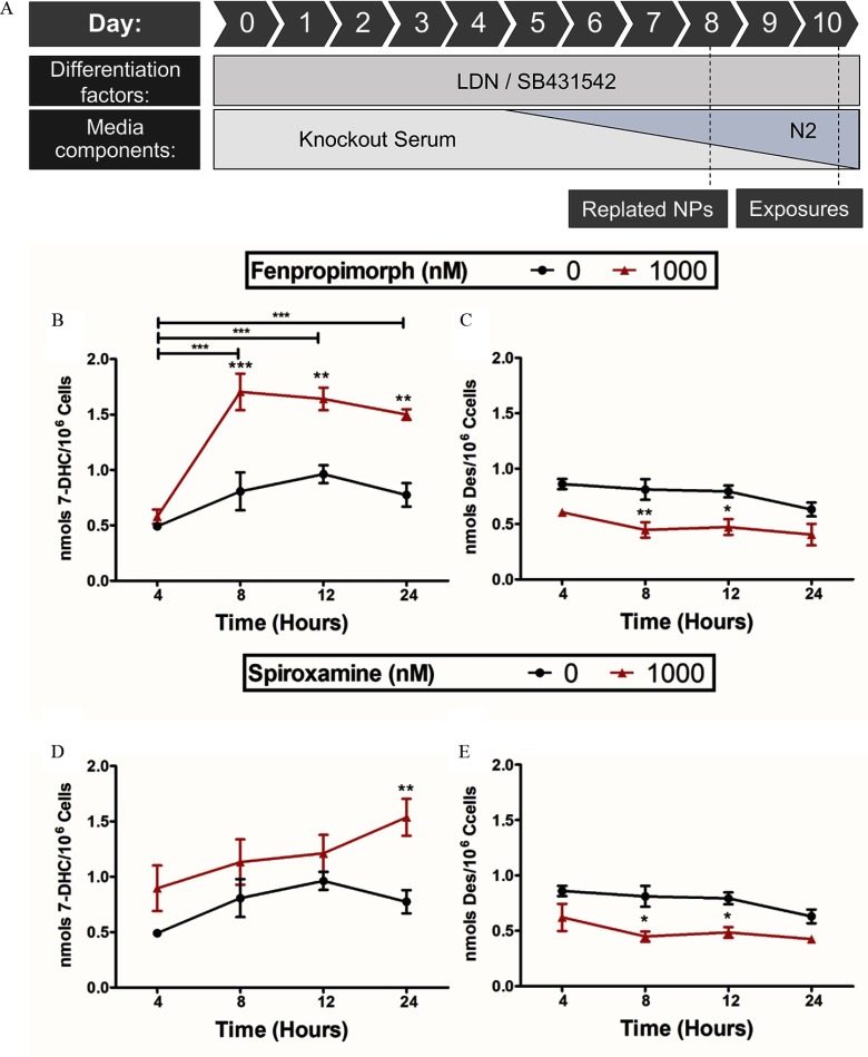 Figure 11A is a differentiation of human induced pluripotent stem cells through a span of 10 days, where differentiated factors are LDN virgule SB431542 and media components are knockout serum and N2. The 8th day reveals replated NPs, and the 10th day reveals exposures. 11B and 11C plot nanomoles 7DHC virgule 10 super 6 cells and nanomoles Des virgule 10 super 6 cells, respectively, (y-axis) across time (hours) for fenpropimorph (ranging from 0 to 1000 nanomolar). 11D and 11D plot nanomoles 7DHC virgule 10 super 6 cells and nanomoles Des virgule 10 super 6 cells, respectively, (y-axis) across time (hours) for spiroxamine (ranging from 0 to 1000 nanomolar).