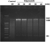 FIG 1