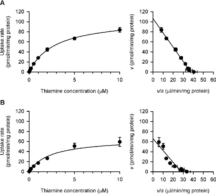 Figure 11.