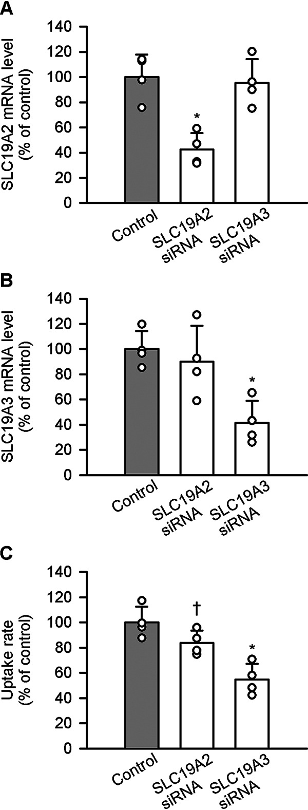 Figure 13.