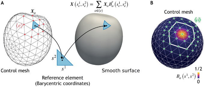 Fig 2