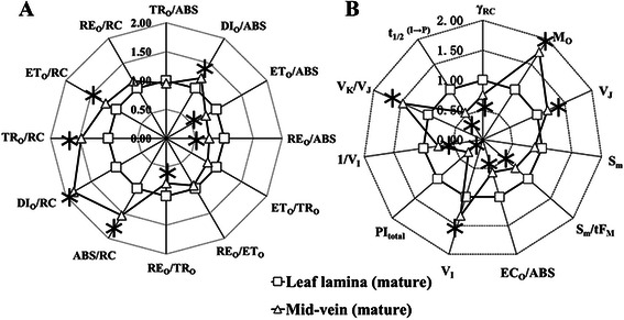 Fig. 5