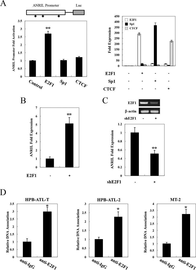 FIG 2