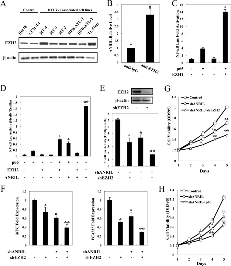 FIG 6