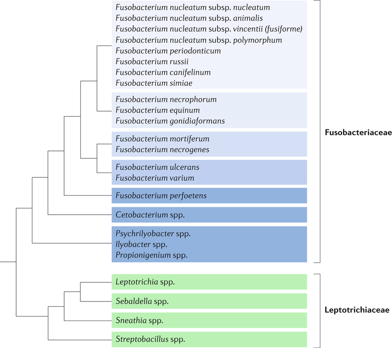 graphic file with name nihms-1033346-f0004.jpg