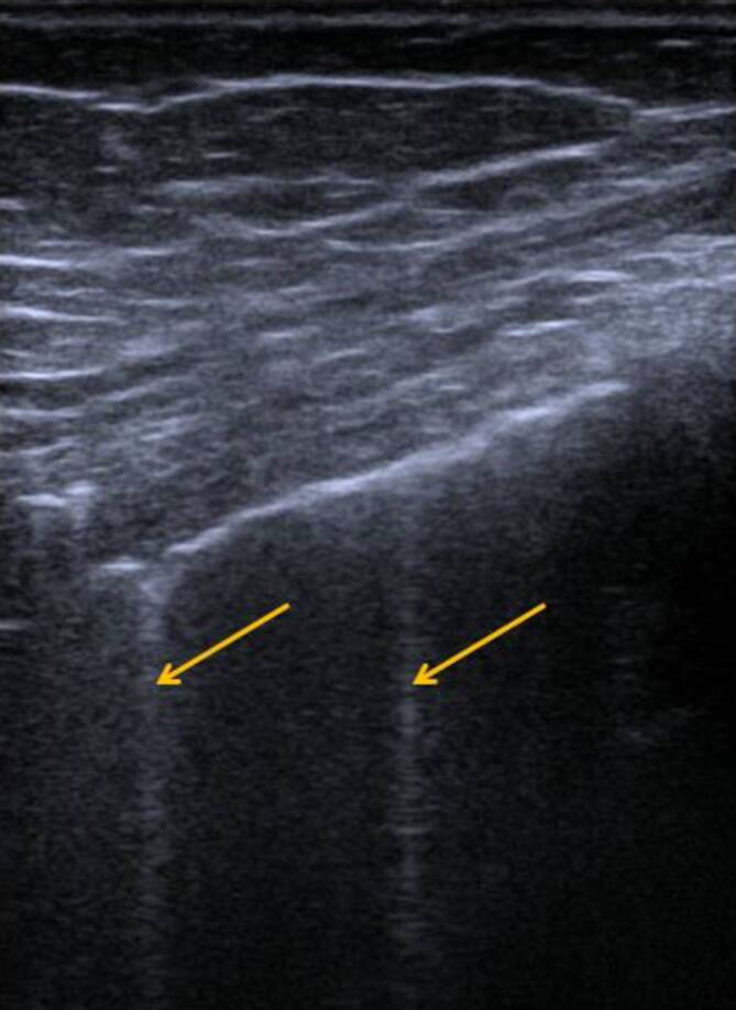 graphic file with name 117_2020_747_Fig2_HTML.jpg