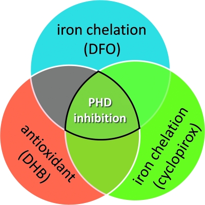 FIG. 9.