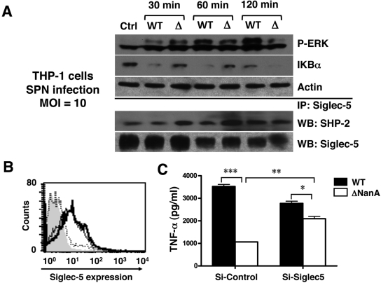 FIG 3 