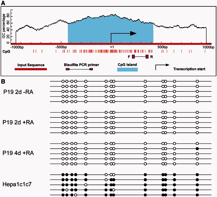 Figure 6.