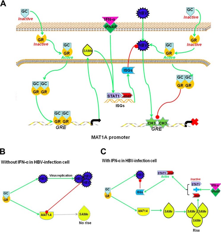 FIGURE 10.