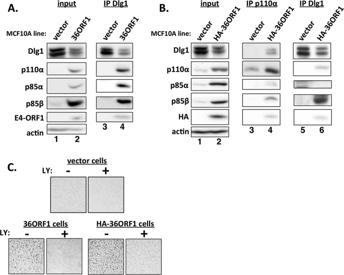 FIG 8