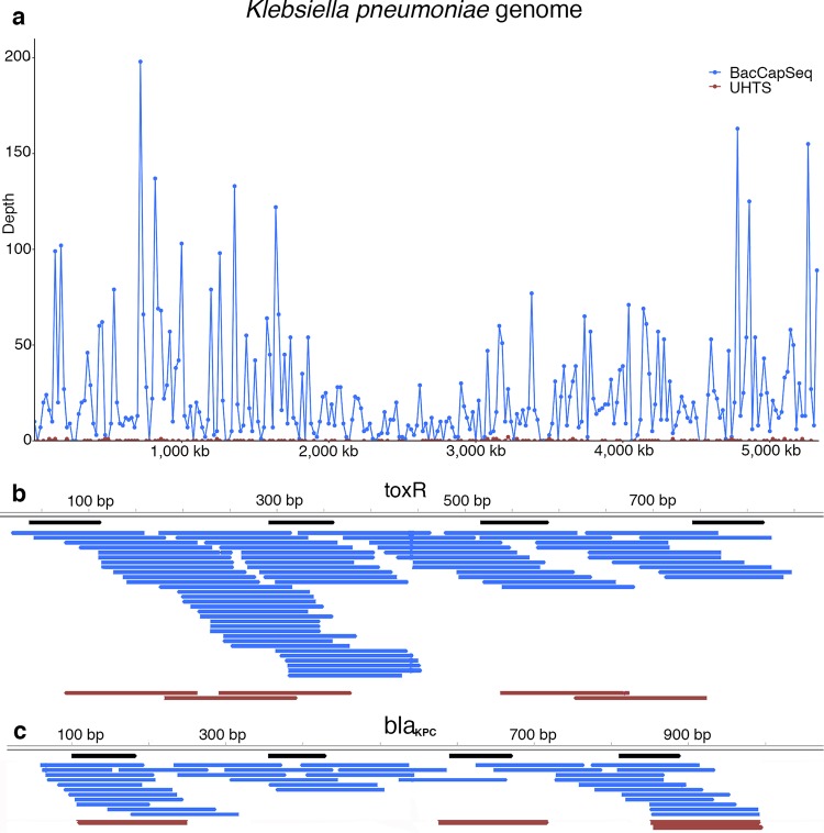 FIG 1